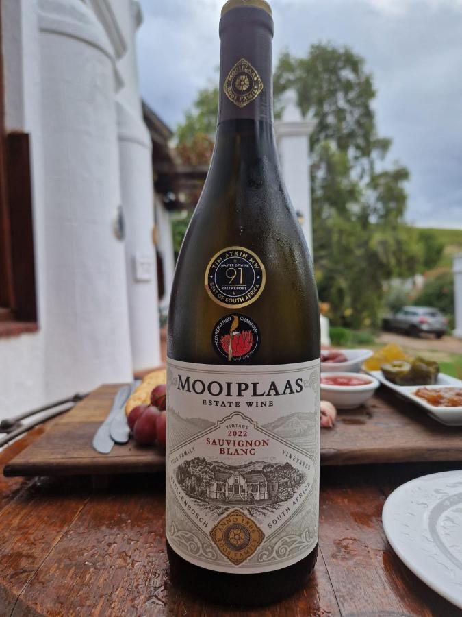 Mooiplaas Wine Estate Διαμέρισμα Στέλενμπος Εξωτερικό φωτογραφία