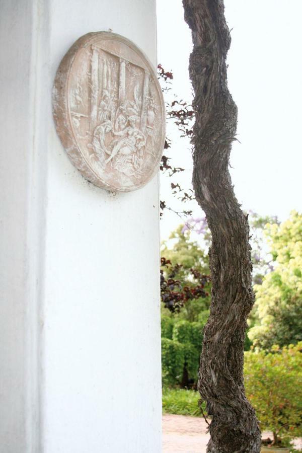 Mooiplaas Wine Estate Διαμέρισμα Στέλενμπος Εξωτερικό φωτογραφία