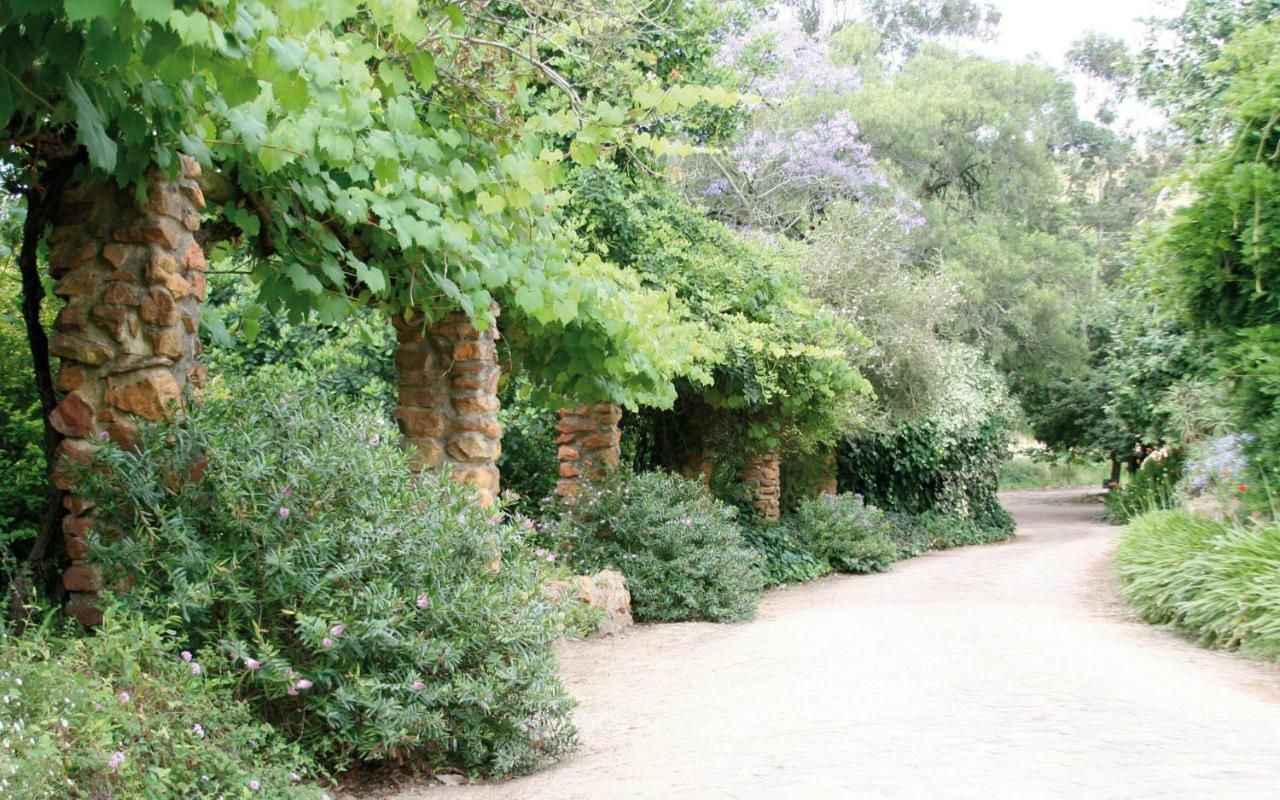 Mooiplaas Wine Estate Διαμέρισμα Στέλενμπος Εξωτερικό φωτογραφία