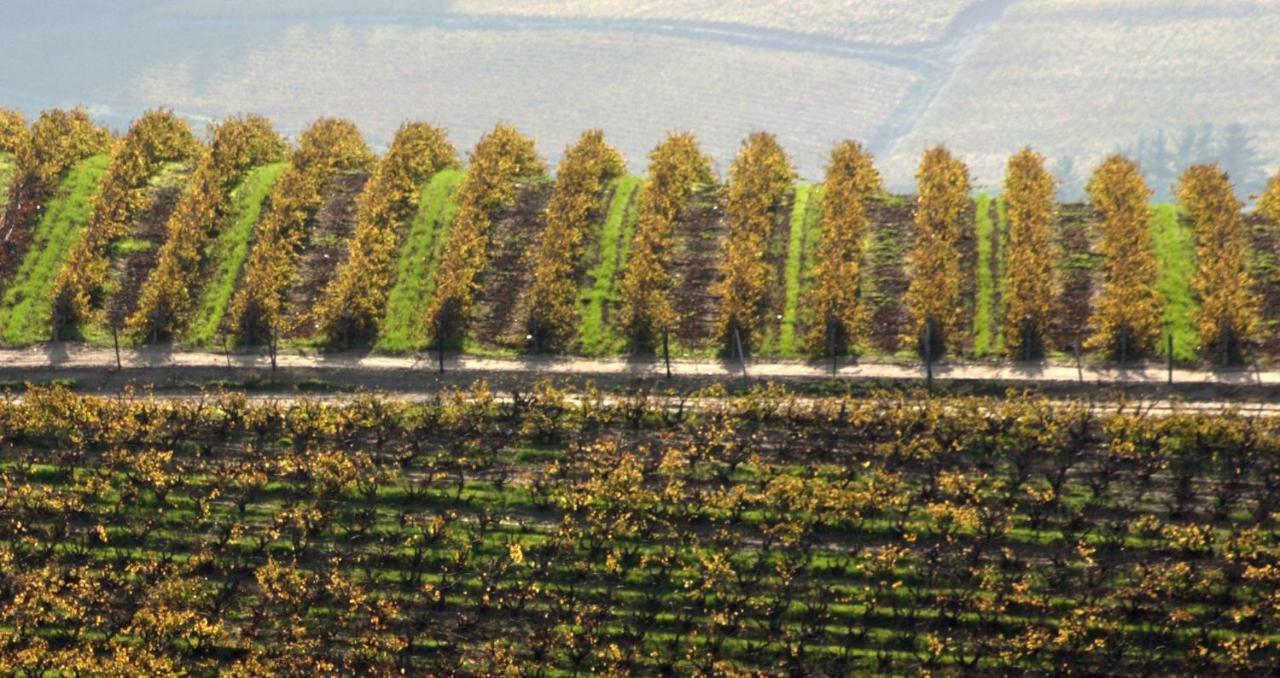 Mooiplaas Wine Estate Διαμέρισμα Στέλενμπος Εξωτερικό φωτογραφία