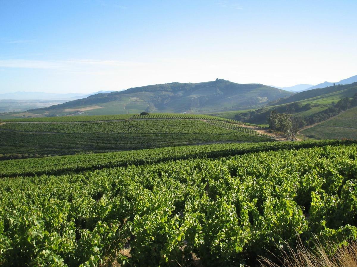 Mooiplaas Wine Estate Διαμέρισμα Στέλενμπος Εξωτερικό φωτογραφία