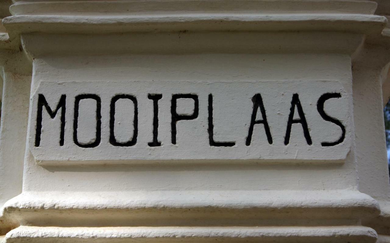 Mooiplaas Wine Estate Διαμέρισμα Στέλενμπος Εξωτερικό φωτογραφία
