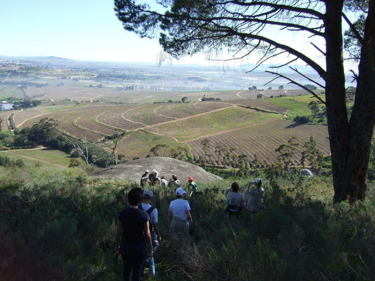 Mooiplaas Wine Estate Διαμέρισμα Στέλενμπος Εξωτερικό φωτογραφία