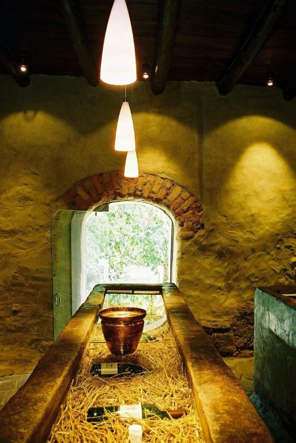 Mooiplaas Wine Estate Διαμέρισμα Στέλενμπος Εξωτερικό φωτογραφία