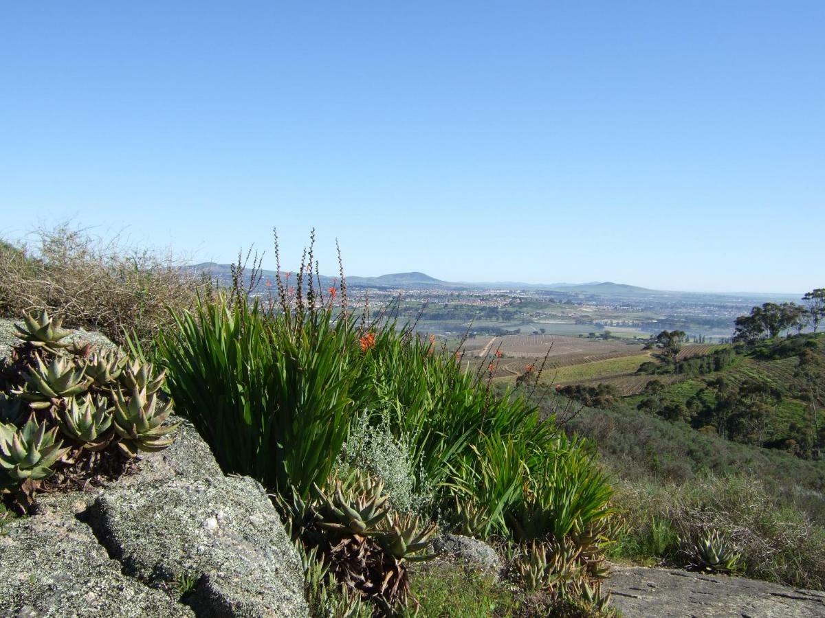 Mooiplaas Wine Estate Διαμέρισμα Στέλενμπος Εξωτερικό φωτογραφία